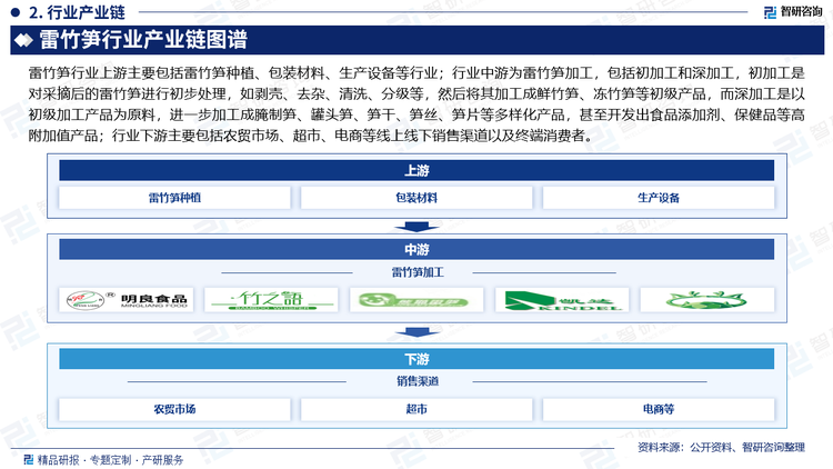 雷竹笋行业上游主要包括雷竹笋种植、包装材料、生产设备等行业；行业中游为雷竹笋加工，包括初加工和深加工，初加工是对采摘后的雷竹笋进行初步处理，如剥壳、去杂、清洗、分级等，然后将其加工成鲜竹笋、冻竹笋等初级产品，而深加工是以初级加工产品为原料，进一步加工成腌制笋、罐头笋、笋干、笋丝、笋片等多样化产品，甚至开发出食品添加剂、保健品等高附加值产品；行业下游主要包括农贸市场、超市、电商等线上线下销售渠道以及终端消费者。