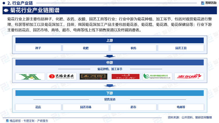 菊花行业上游主要包括种子、化肥、农药、农膜、园艺工具等行业；行业中游为菊花种植、加工环节，包括对观赏菊花进行整理、包装等初加工以及菊花深加工，目前，我国菊花深加工产品主要包括菊花茶、菊花糕、菊花酒、菊花保健品等；行业下游主要包括花店、园艺市场、商场、超市、电商等线上线下销售渠道以及终端消费者。