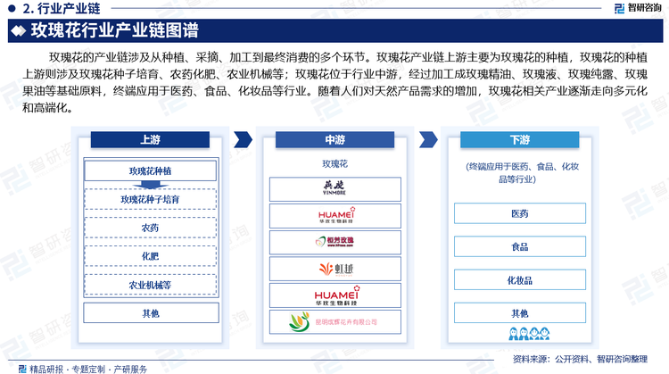 玫瑰花的产业链涉及从种植、采摘、加工到最终消费的多个环节。玫瑰花产业链上游主要为玫瑰花的种植，玫瑰花的种植上游则涉及玫瑰花种子培育、农药化肥、农业机械等；玫瑰花位于行业中游，经过加工成玫瑰精油、玫瑰液、玫瑰纯露、玫瑰果油等基础原料，，终端应用于医药、食品、化妆品等行业。随着人们对天然产品需求的增加，玫瑰花相关产业逐渐走向多元化和高端化。