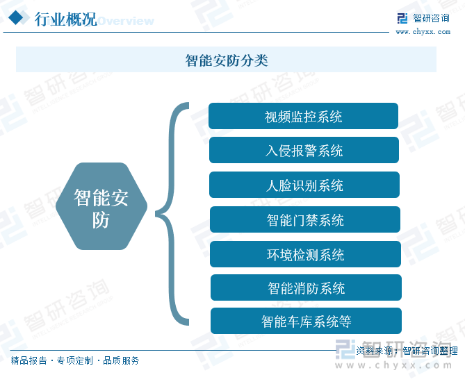 智能安防分類