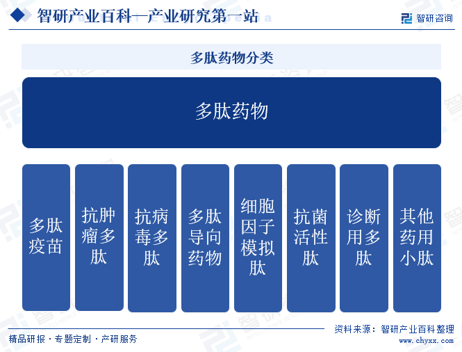 多肽药物分类