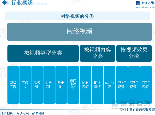 网络视频的分类