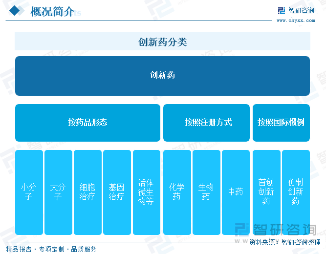 创新药分类