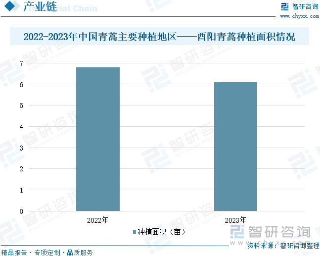 2022-2023年中國青蒿主要種植地區(qū)——酉陽青蒿種植面積情況