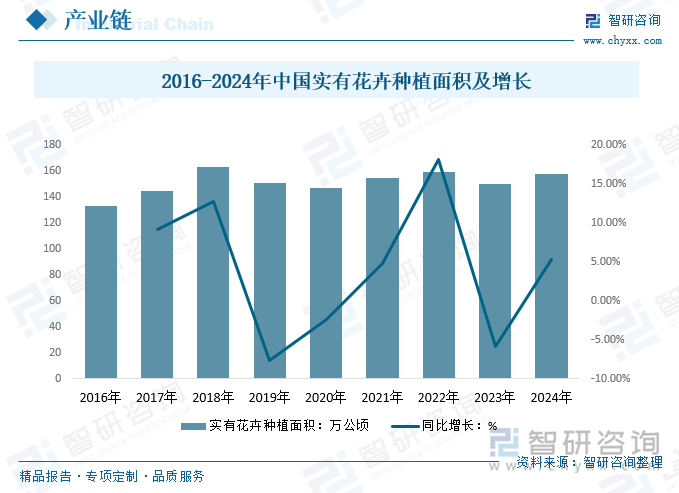 2016-2024年中國(guó)實(shí)有花卉種植面積及增長(zhǎng)