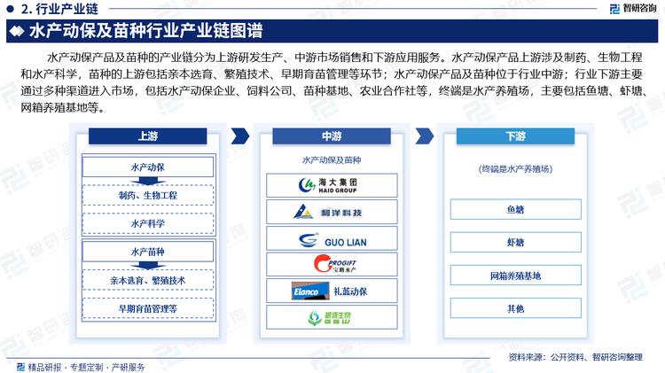 水产动保产品及苗种的产业链分为上游研发生产、中游市场销售和下游应用服务。水产动保产品上游涉及制药、生物工程和水产科学，苗种的上游包括亲本选育、繁殖技术、早期育苗管理等环节；水产动保产品及苗种位于行业中游；行业下游主要通过多种渠道进入市场，包括水产动保企业、饲料公司、苗种基地、农业合作社等，终端是水产养殖场，主要包括鱼塘、虾塘、网箱养殖基地等。