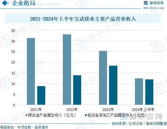 2021-2024年上半年寶武鎂業(yè)主要產品營業(yè)收入