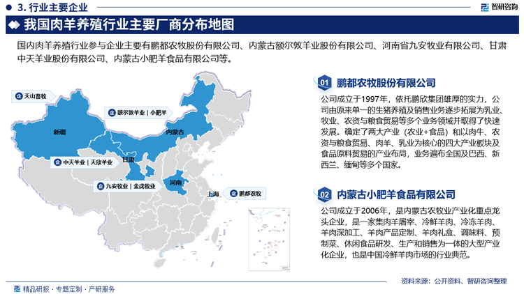 目前，我国主要的肉羊企业有鹏都农牧、天山畜牧等。为了在激烈的市场竞争中脱颖而出，肉羊企业纷纷转向高端市场，通过打造知名品牌来争夺市场份额。实力雄厚的肉羊企业更是从源头开始培育高端品牌，以提高产品的品质和竞争力。尽管我国肉羊行业集中度相对较低，但部分肉羊企业已经通过不同的发展模式成功抢占了市场份额，主要包括海外屠宰、活牛进口和全产业链模式等模式。这些模式的采用使得肉羊企业在采购、生产和销售等环节中具有更高的灵活性和可控性，从而更好地满足市场需求。