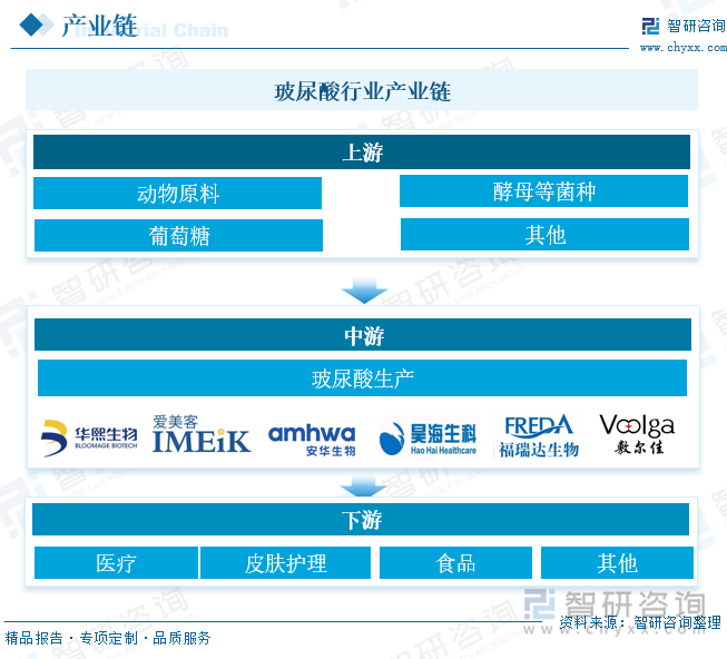 玻尿酸行业产业链