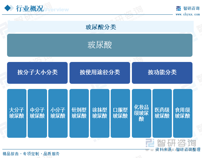 玻尿酸分类