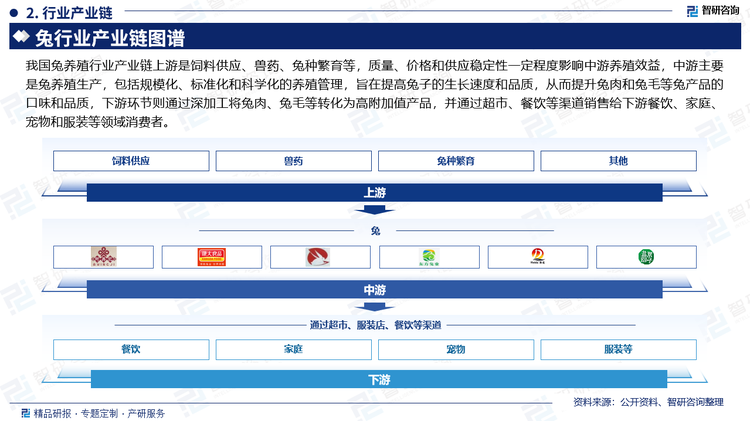 我国兔养殖行业产业链上游是饲料供应、兽药、兔种繁育等，质量、价格和供应稳定性一定程度影响中游养殖效益，中游主要是兔养殖生产，包括规模化、标准化和科学化的养殖管理，旨在提高兔子的生长速度和品质，从而提升兔肉和兔毛等兔产品的口味和品质，下游环节则通过深加工将兔肉、兔毛等转化为高附加值产品，并通过超市、餐饮等渠道销售给下游餐饮、家庭、宠物和服装等领域消费者。