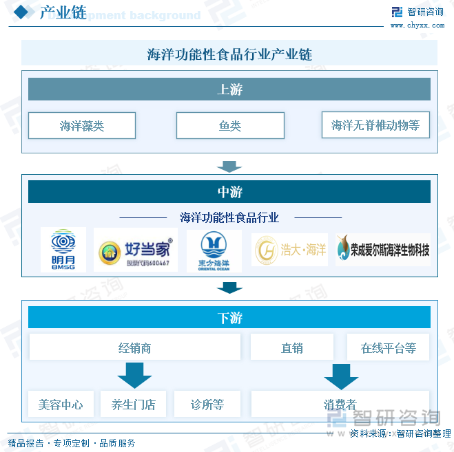 海洋功能性食品行業(yè)產(chǎn)業(yè)鏈