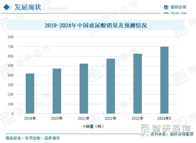 2019-2024年中国玻尿酸销量及预测情况