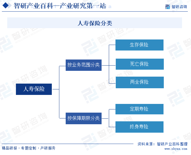 人寿保险分类