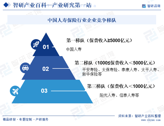 中国人寿保险行业企业竞争梯队