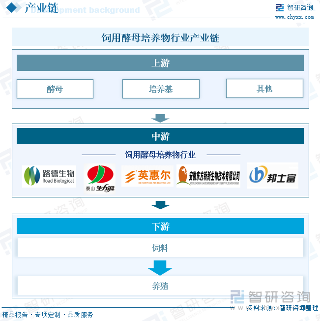 饲用酵母培养物行业产业链