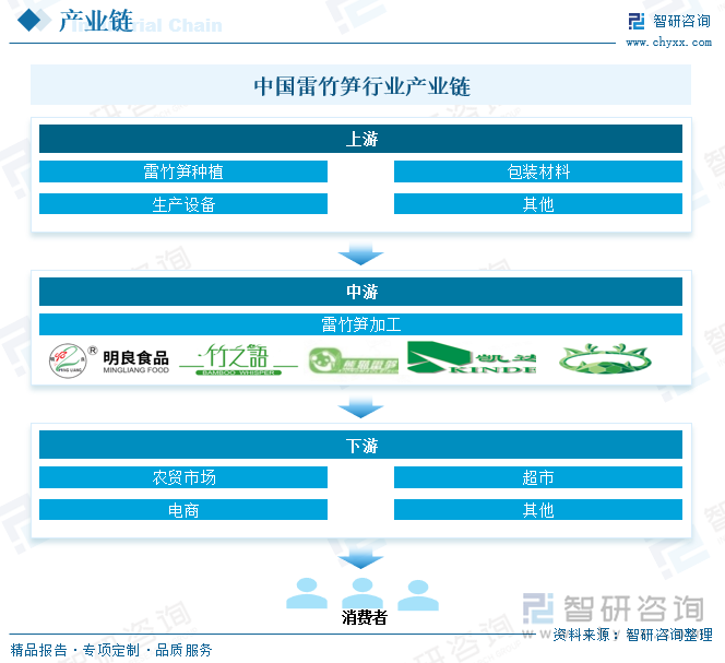 中国雷竹笋行业产业链