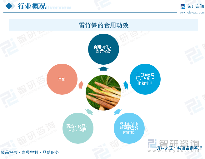 雷竹筍的食用功效