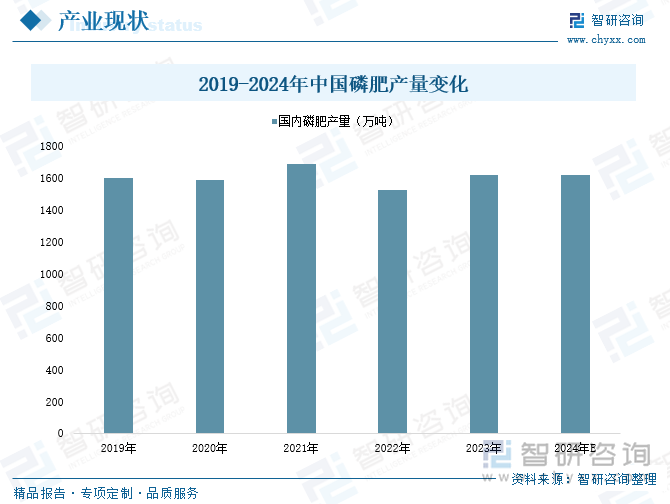 2019-2024年中国磷肥产量变化