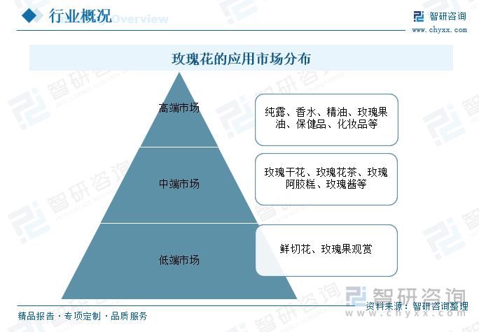 玫瑰花的應(yīng)用市場(chǎng)分布