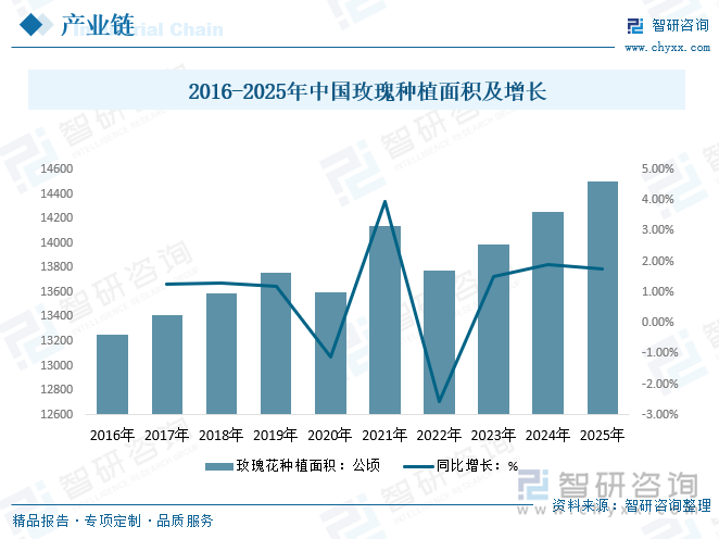 2016-2025年中國玫瑰種植面積及增長