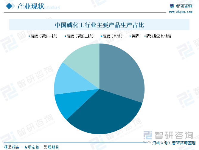 中国磷化工行业主要产品生产占比