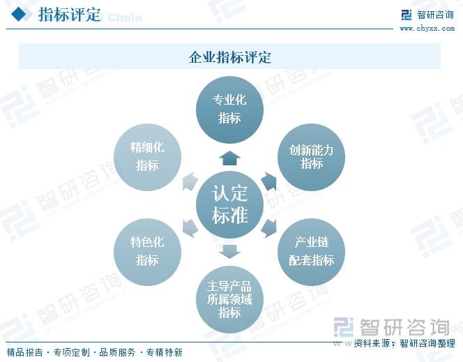 專(zhuān)精特新“小巨人”企業(yè)認(rèn)定標(biāo)準(zhǔn)