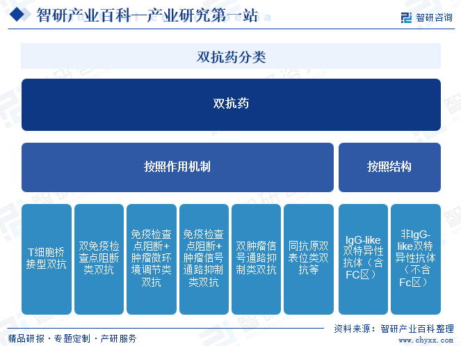 双抗药分类