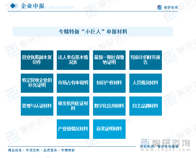 專精特新“小巨人”申報材料