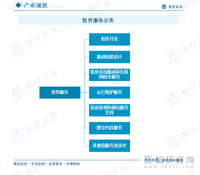 软件服务分类