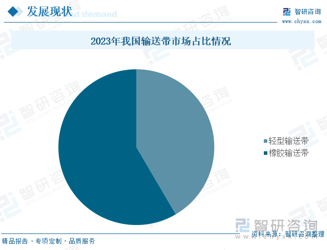 2023年我国输送带市场占比情况