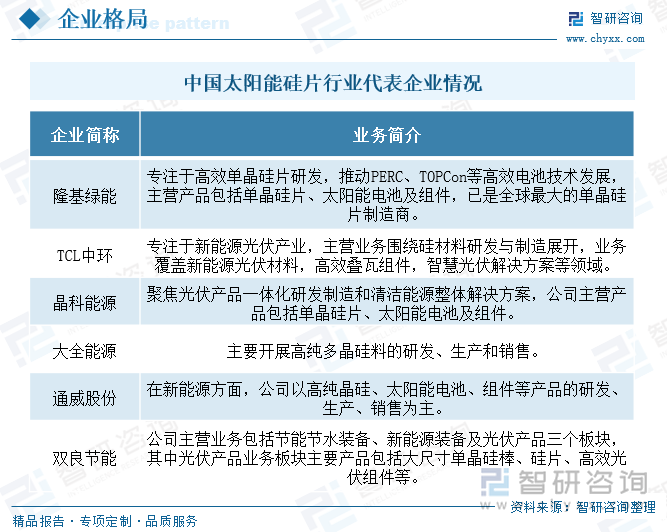 中国太阳能硅片行业代表企业情况