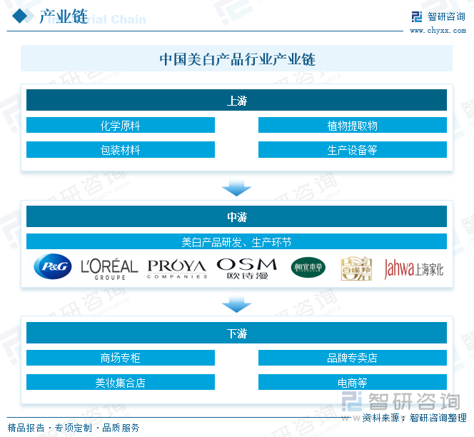 中国美白产品行业产业链