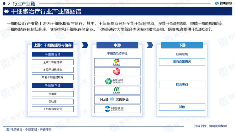 干细胞治疗产业链上游为干细胞提取与储存，其中，干细胞提取包括全能干细胞提取、多能干细胞提取、单能干细胞提取等；干细胞储存包括细胞库、实验室和干细胞存储企业。下游是通过大型综合类医院向器官衰竭、病变患者提供干细胞治疗。