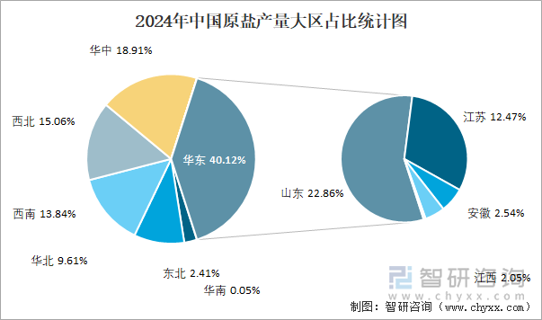 2024年中国原盐产量大区占比统计图