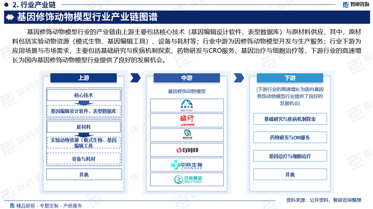 基因修饰动物模型行业的产业链由上游主要包括核心技术（基因编辑设计软件、表型数据库）与原材料供应，其中，原材料包括实验动物资源（模式生物、基因编辑工具）、设备与耗材等；行业中游为因修饰动物模型开发与生产服务；行业下游为应用场景与市场需求，主要包括基础研究与疾病机制探索、药物研发与CRO服务、基因治疗与细胞治疗等，下游行业的高速增长为国内基因修饰动物模型行业提供了良好的发展机会。