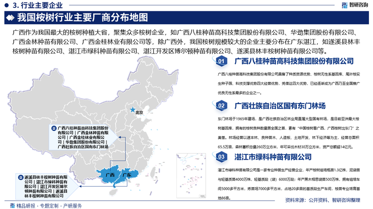 广西作为我国最大的桉树种植大省，聚集众多桉树企业，如广西八桂种苗高科技集团股份有限公司、华劲集团股份有限公司、广西金林种苗有限公司、广西金桂林业有限公司等，除广西外，我国桉树规模较大的企业主要分布在广东湛江，如遂溪县林丰桉树种苗有限公司、湛江市绿科种苗有限公司、湛江开发区博尔顿种苗有限公司、遂溪县林丰桉树种苗有限公司等，但整体来看，目前，我国桉树行业内企业数量众多，且规模普遍较小，大部分企业的生产和经营规模有限，在市场中难以形成强大的影响力和控制力，市场格局较为分散。据企查查数据显示，截止2025年2月13日，我国注册资本在100万以内的桉树相关企业占比超80%，而注册资本在5000万以上的桉树相关企业占比不足3%。