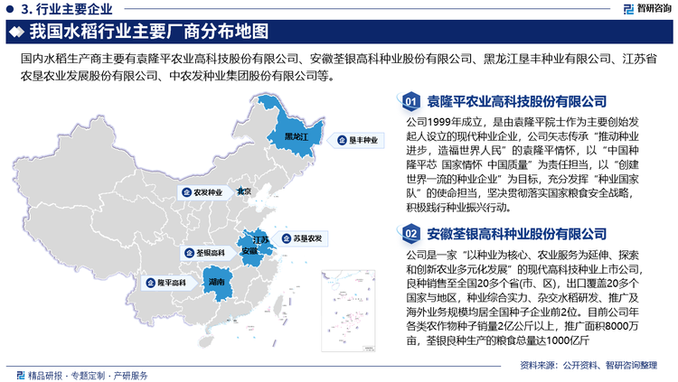 我国水稻行业中企业数量较多，但是由于品牌、营销等等水平不够，导致市场竞争混乱，行业集中度不高。很多小规模、缺乏核心竞争力的生产企业往往通过低价格恶性竞争手段获取市场份额，在很大程度上制约了水稻行业的健康发展。目前，行业发展较好的企业主要有：袁隆平农业高科技股份有限公司、安徽荃银高科种业股份有限公司、黑龙江垦丰种业有限公司、江苏省农垦农业发展股份有限公司、中农发种业集团股份有限公司等，这些企业由于已经初具规模，具有更好的生产、研发能力，同时也具备一定品牌效应，因此在市场中具有较高的竞争地位。