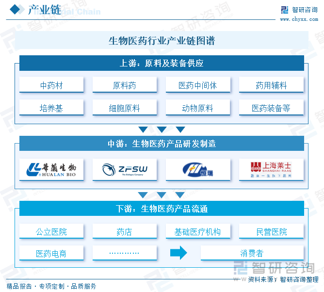 生物医药行业产业链图谱