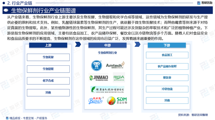 从产业链来看，生物保鲜剂行业上游主要涉及生物发酵、生物提取和化学合成等领域，这些领域为生物保鲜剂的研发与生产提供必要的原料和技术支持。例如，乳酸链球菌素等生物保鲜剂的生产，就依赖于微生物发酵技术；而纳他霉素等则来源于对特定真菌的生物提取。此外，某些植物源性的生物保鲜剂，其生产过程可能还涉及到复杂的萃取技术和广泛的植物种植产业。下游是指生物保鲜剂的应用领域，主要包括食品加工、农产品储存保鲜、餐饮业以及冷链物流等多个方面。随着人们对食品安全和食品品质要求的不断提高，生物保鲜剂在这些领域的应用也日益广泛，发挥着越来越重要的作用。