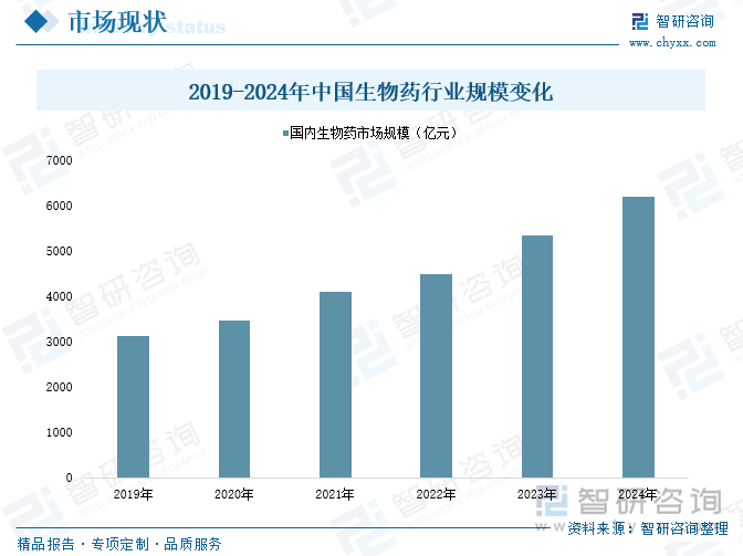 2019-2024年中国生物药行业规模变化