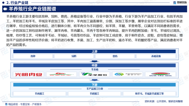 羊养殖行业上游主要包括育种、饲料、兽药、养殖设备等行业，行业中游为羊养殖，行业下游为羊产品加工行业，包括羊肉加工，羊奶加工和羊毛、羊绒及羊皮加工等，其中，羊肉加工涵盖屠宰、分割、深加工等步骤，屠宰企业对达到出栏标准的羊进行屠宰，经过检疫检验合格后，进行胴体分割，将羊肉分为不同部位，如羊排、羊腿、羊里脊等，以满足不同消费者的需求，进一步的深加工则包括制作烤羊、涮羊肉卷、羊肉罐头、羊肉干等各种羊肉制品，提升羊肉的附加值；羊毛、羊绒经过清洗、梳理、纺纱等工艺，可制成羊毛衫、羊绒衫、毛毯等纺织品，羊皮则可加工成皮革，用于制作皮衣、皮鞋、皮包等皮制品，增加羊产品的多样性和经济价值；将羊奶进行收集、杀菌、加工，生产出羊奶粉、液态羊奶、羊奶酸奶等产品，满足消费者对羊奶产品的需求。