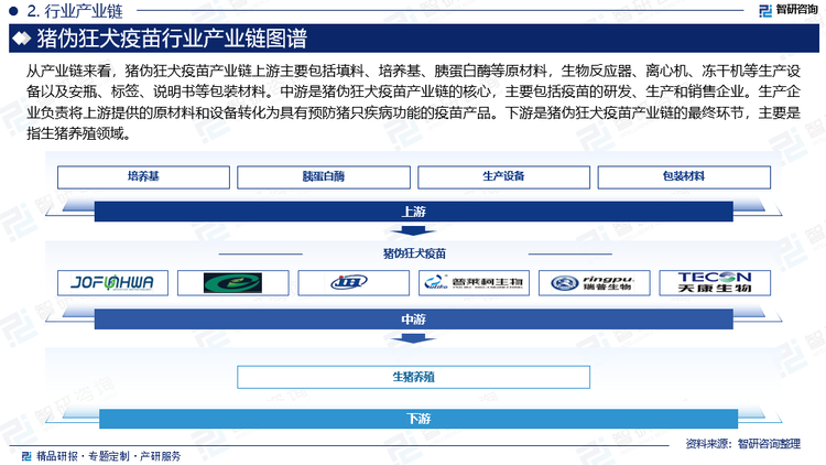 从产业链来看，猪伪狂犬疫苗产业链上游主要包括填料、培养基、胰蛋白酶等原材料，生物反应器、离心机、冻干机等生产设备以及安瓶、标签、说明书等包装材料。中游是猪伪狂犬疫苗产业链的核心，主要包括疫苗的研发、生产和销售企业。生产企业负责将上游提供的原材料和设备转化为具有预防猪只疾病功能的疫苗产品。下游是猪伪狂犬疫苗产业链的最终环节，主要是指生猪养殖领域。