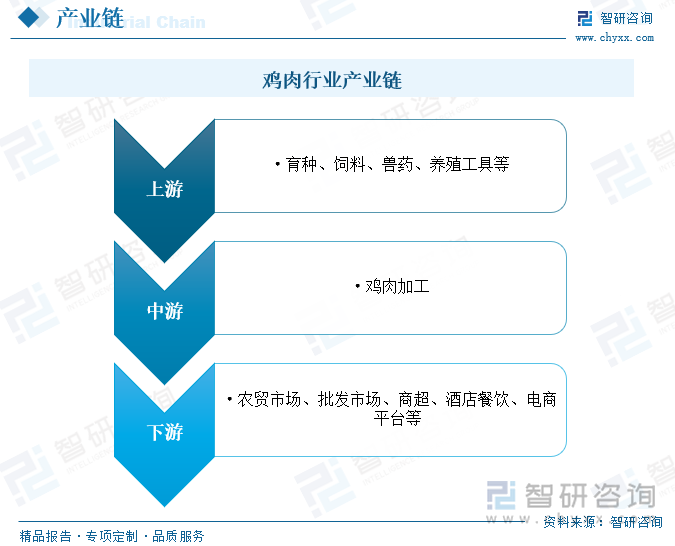 从产业链方面来看，鸡肉行业产业链上游为鸡养殖环节，主要包括育种、饲料、兽药、养殖工具等领域；中游为鸡肉加工处理环节；行业下游为鸡肉及相关制品销售流通环节，主要通过农贸市场、批发市场、商超、酒店餐饮、电商平台等各类渠道流向广大消费者。