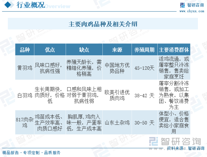 鸡肉是中国主要肉类品种之一，其具有高蛋白、低脂肪、低胆固醇、低热量、低价格的特点，在国内消费比例仅次于猪肉，但相较于其它肉类，在我国鸡肉大多以鲜食为主，鸡肉加工也主要集中在整鸡加工、整鸡销售，深加工产品少。目前，市面上主要肉鸡品种包括白羽鸡、黄羽鸡、817系列等，此外还包括淘汰蛋鸡和其他特色品种。其中，白羽鸡是快大型肉鸡的代表，生长速度快，肉质嫩滑，口感鲜美，适合大规模养殖；黄羽鸡则是地方品种杂交培育的优质肉鸡，生长速度较慢，肉质鲜美，适合多种烹饪方式；其他特色品种如乌鸡、黑皮瓜花鸡等口感独特，营养价值较高，但在市场上相对较少见。