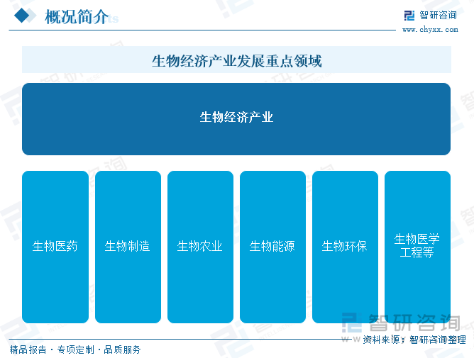 生物经济产业发展重点领域