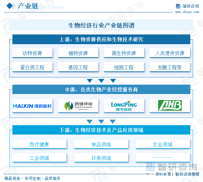 生物经济行业产业链图谱