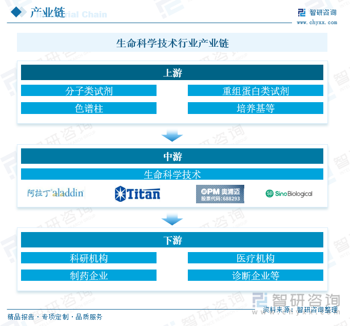 生命科学技术行业产业链