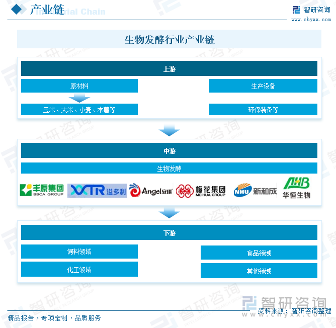 生物发酵行业产业链