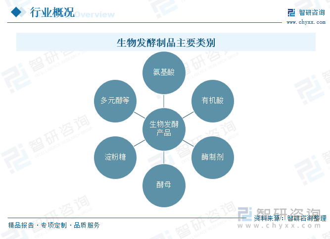 生物发酵制品主要类别